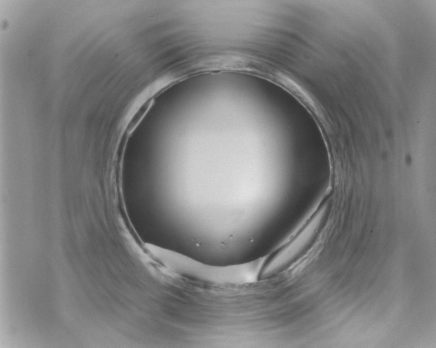 X0000071381434200607212201