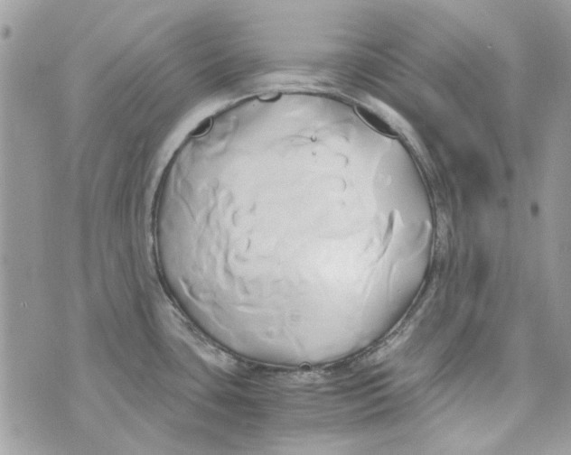 X0000071381435200607212201