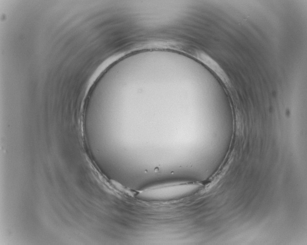 X0000071381436200607212201