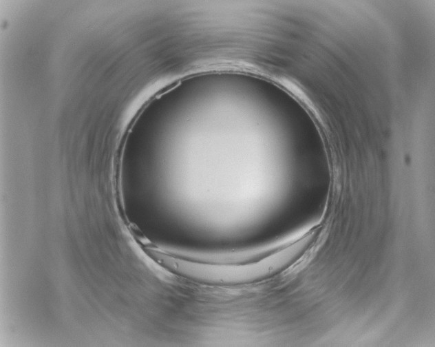 X0000071381438200607212201