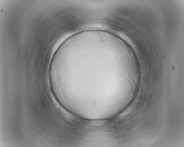 X0000071381440200607212201