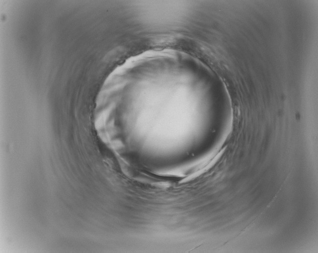 X0000071381441200607212201