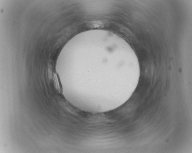 X0000071381442200607212201