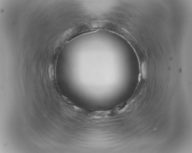 X0000071381443200607212201