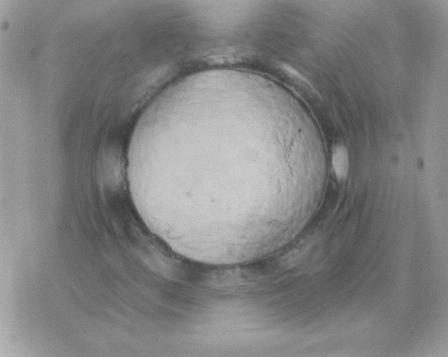 X0000071381444200607212201