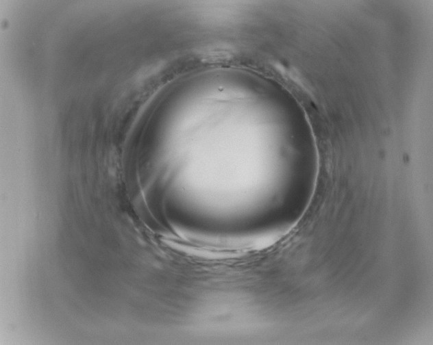 X0000071381445200607212201