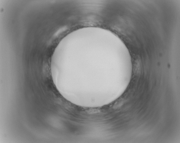 X0000071381446200607212201