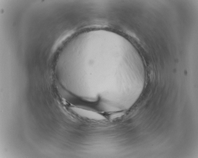 X0000071381448200607212200