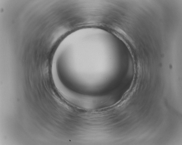 X0000071381450200607212200