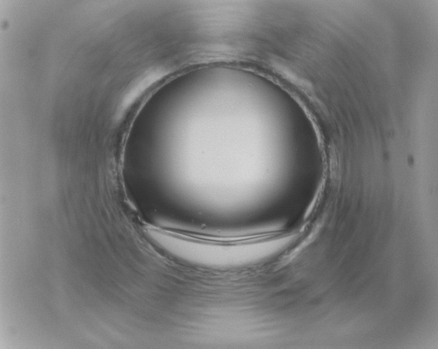 X0000071381453200607212200