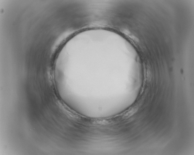 X0000071381454200607212200