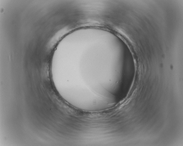 X0000071381455200607212200