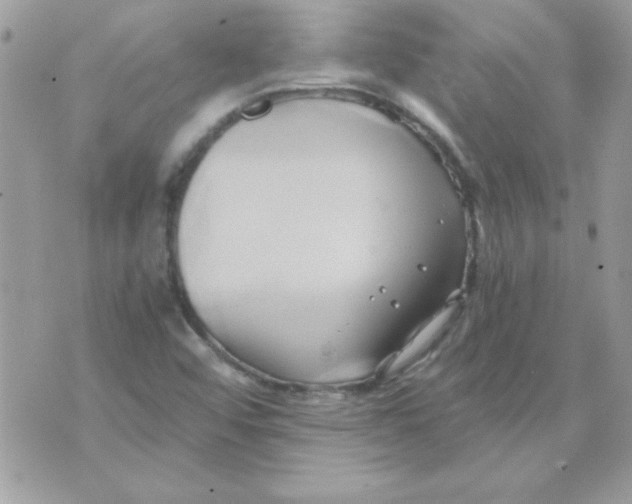 X0000071381456200607212200