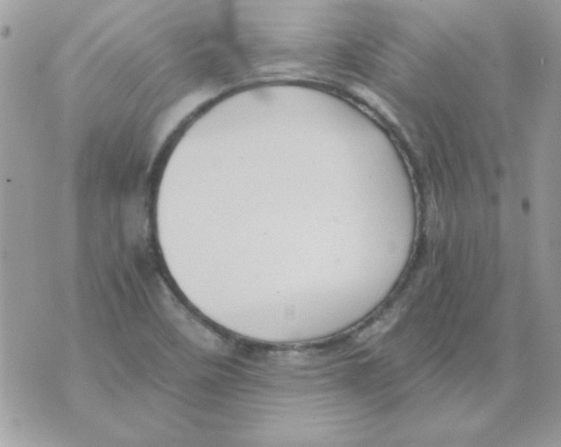 X0000071381458200607212200