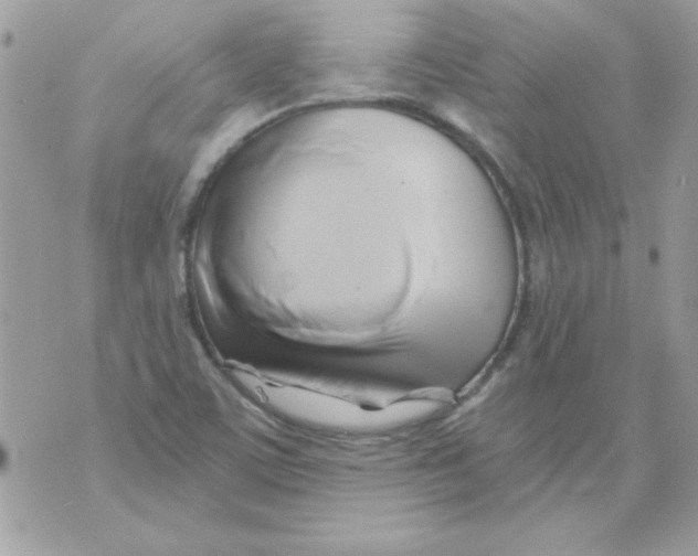 X0000071381459200607212200