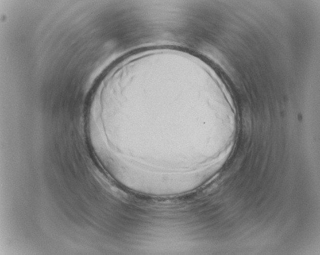 X0000071381460200607212200