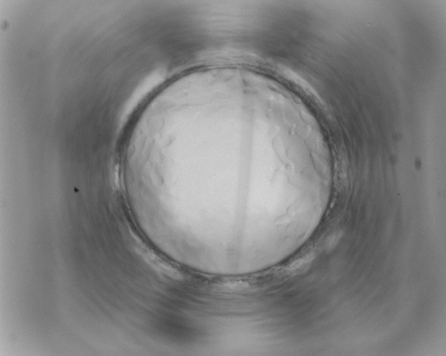 X0000071381462200607212200