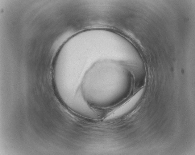 X0000071381463200607212200