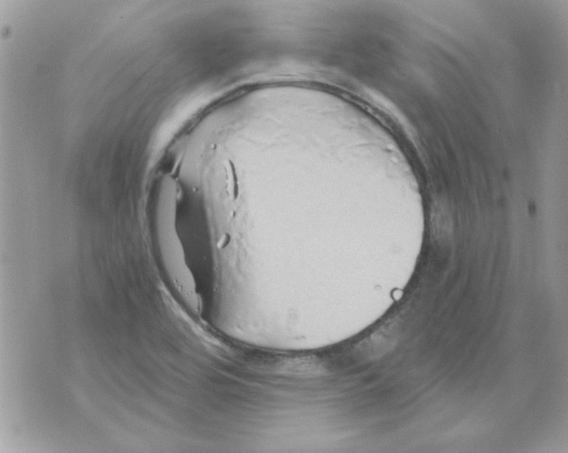 X0000071381464200607212200