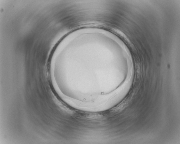 X0000071381466200607212200