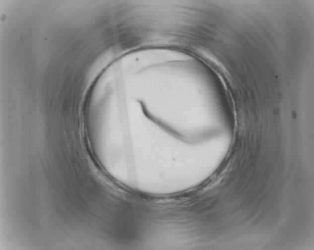 X0000071381467200607212200