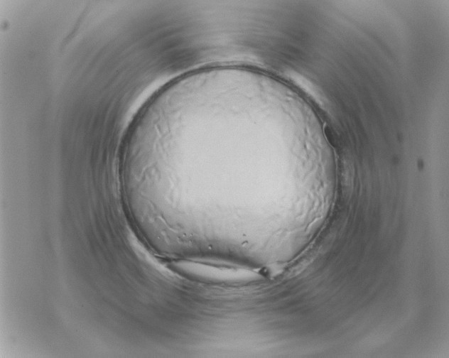 X0000071381468200607212200