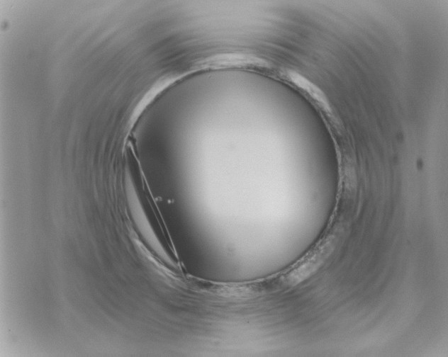 X0000071381473200607212200