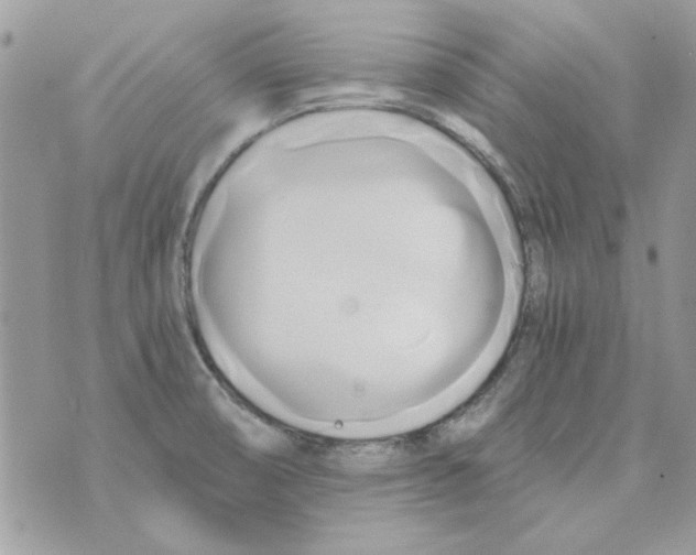 X0000071381474200607212200