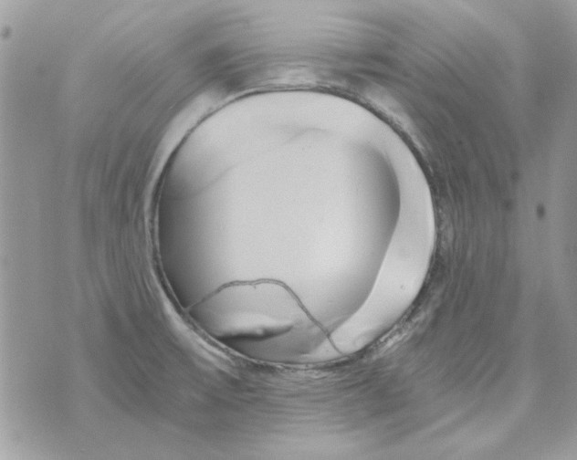 X0000071381475200607212200