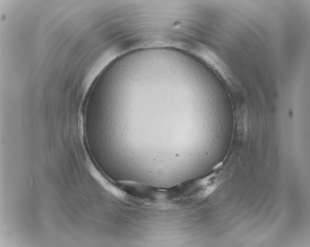 X0000071381476200607212200