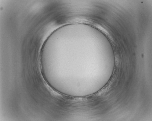 X0000071381478200607212200