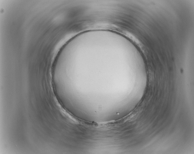 X0000071381480200607212200