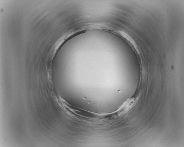 X0000071381481200607212200