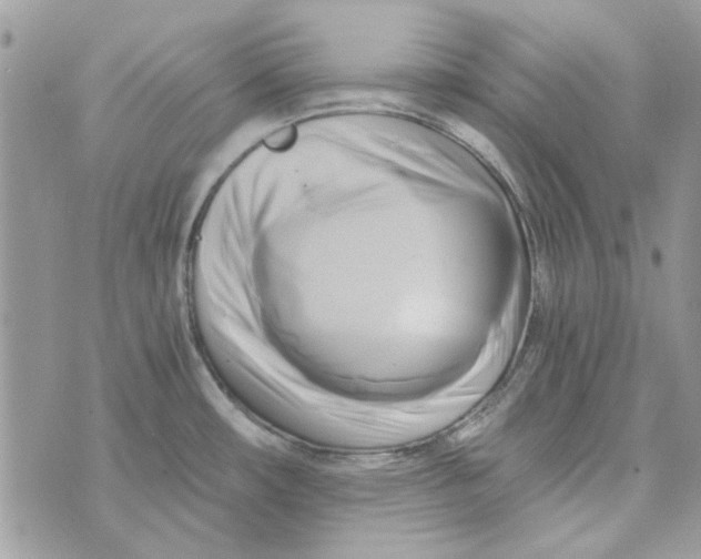 X0000071381482200607212200