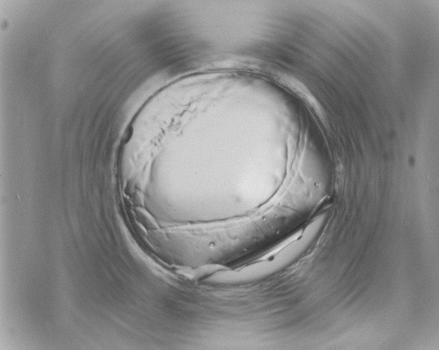 X0000071381483200607212200