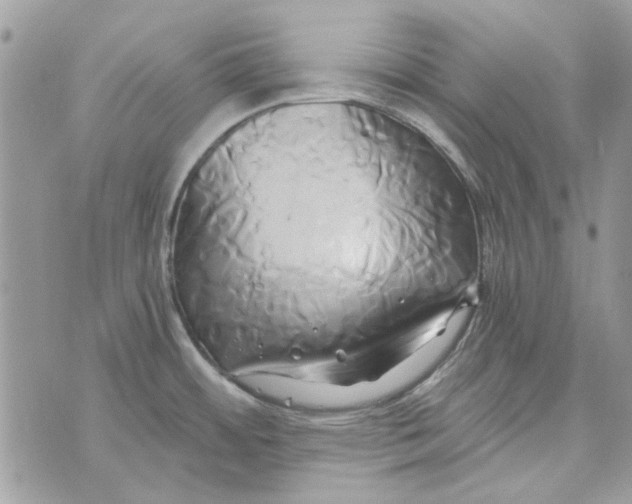 X0000071381484200607212200