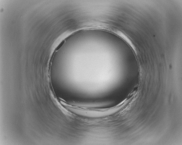 X0000071381485200607212200