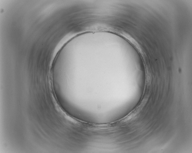 X0000071381486200607212200