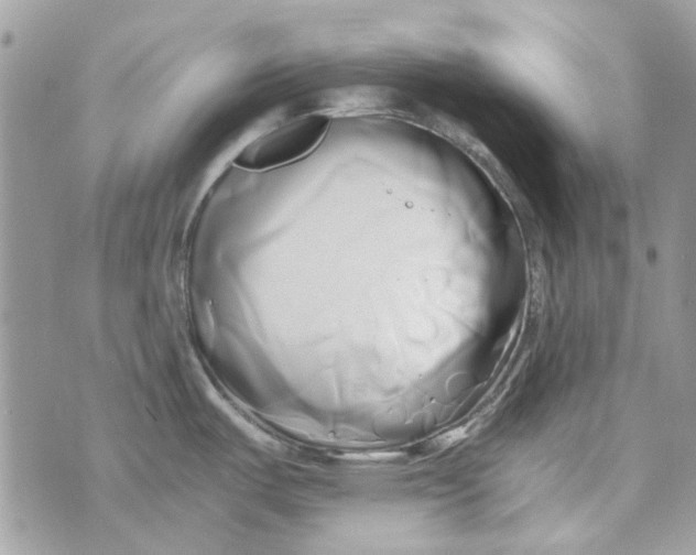 X0000071381487200607212200