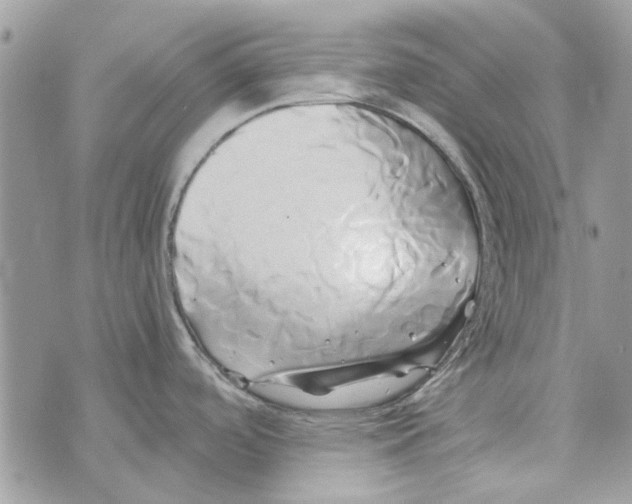 X0000071381488200607212200