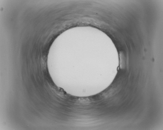 X0000071381491200607212159