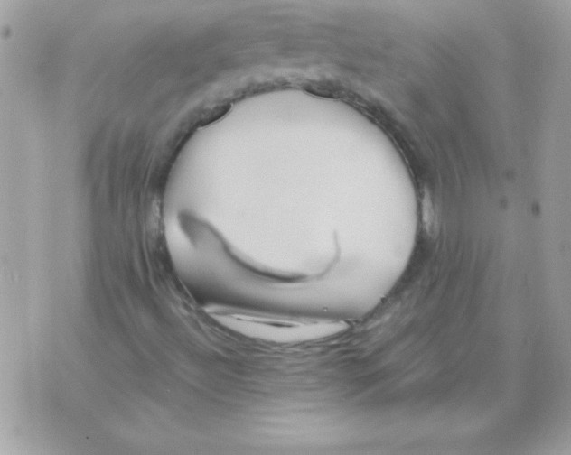 X0000071381492200607212159