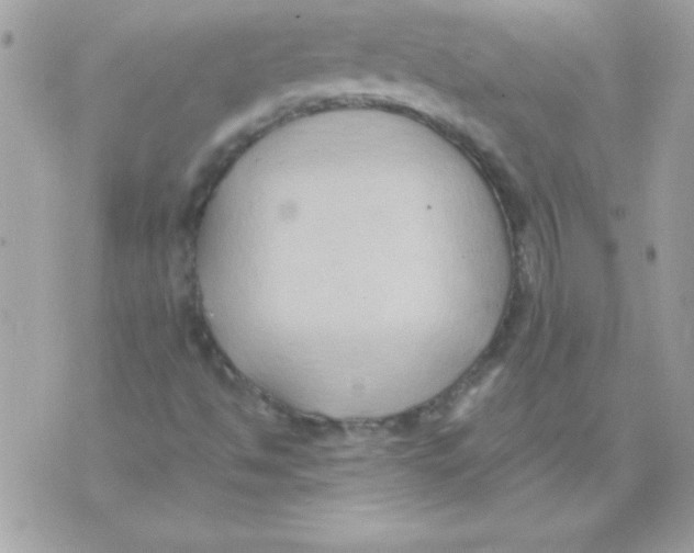 X0000071381494200607212159