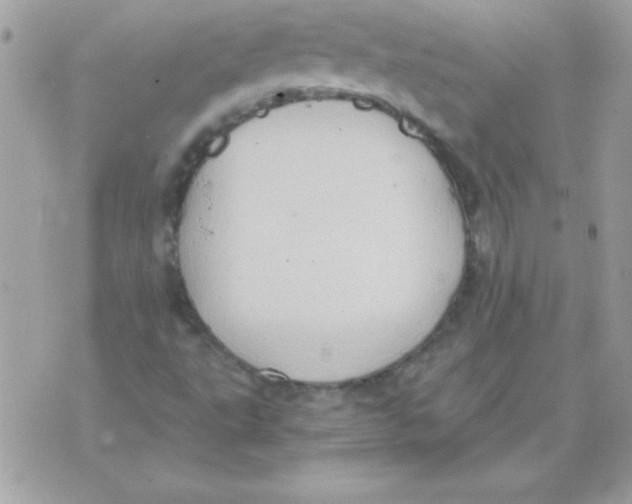 X0000071381495200607212159