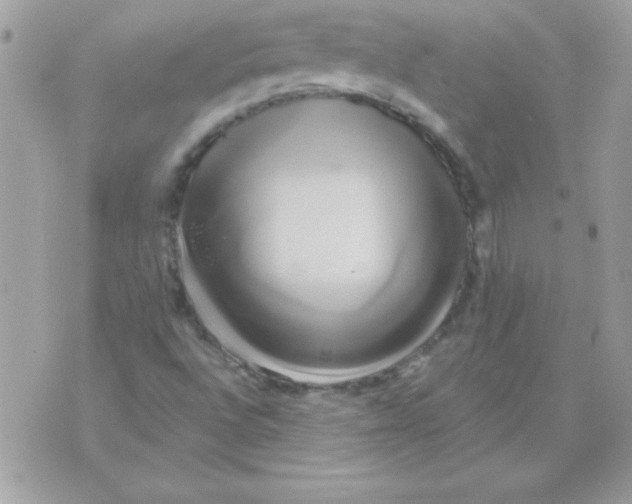 X0000071381496200607212159