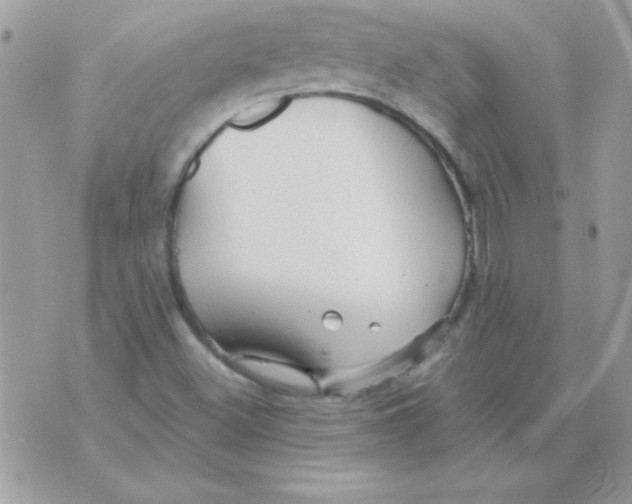 X0000071381500200607212159