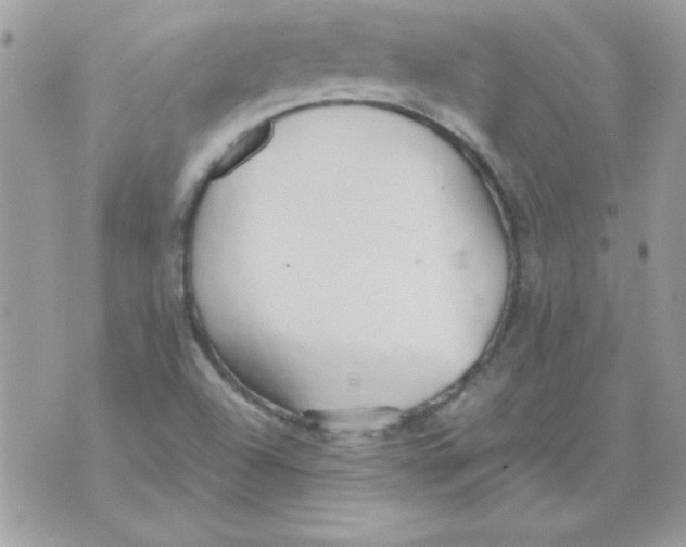 X0000071381504200607212159