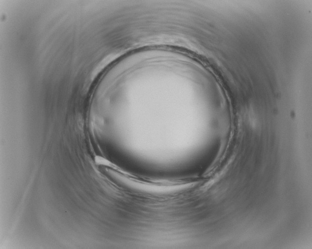 X0000071381505200607212159