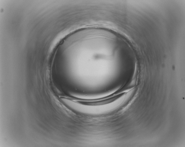 X0000071381506200607212159