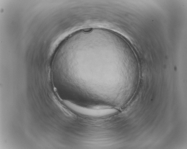 X0000071381507200607212159